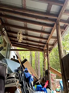 bb empress online show from October 7, 1:30 pm