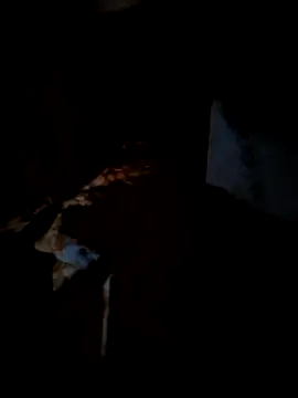 Real Sucker online show from March 15, 4:57 pm