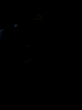 Reeelo online show from November 19, 5:57 pm