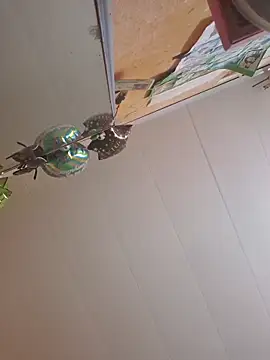 Linda Hot13 online show from September 15, 3:01 pm