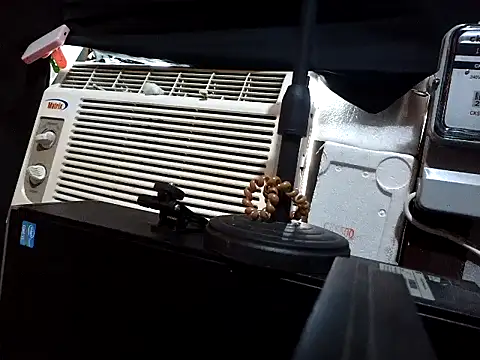 Madylinebigcock69 online show from March 24, 4:39 am