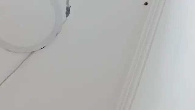 Atley Dolly online show from September 21, 9:38 pm