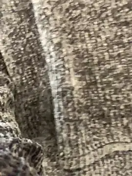 sunset24 online show from October 13, 8:58 am