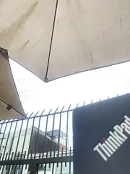 Snapshot of Sallem_Pink chatting on November 6, 11:22 am Sallem Pink online show from November 6, 11:22 am