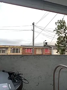 Sallem Pink online show from March 22, 11:13 am