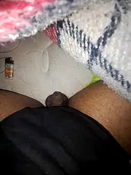 REALLY8430 online show from February 10, 11:31 pm