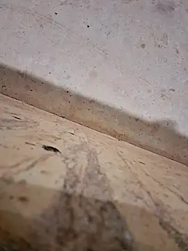 Negodabenga online show from December 14, 12:27 am