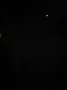 AmbarFoxx  online show from July 27, 2:51 am
