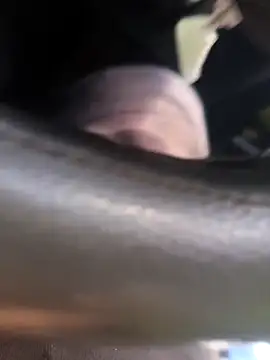 Frank0021 online show from November 4, 5:34 pm