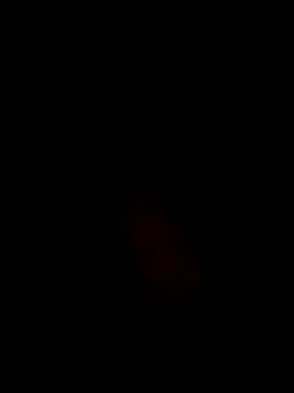 Quarentaoon online show from September 10, 4:56 am