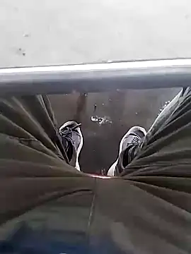 Snapshot of Aliyeni1 chatting on December 1, 9:25 am Aliyeni1 online show from December 1, 9:25 am