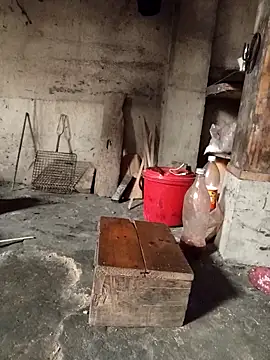 TinTin321 online show from March 3, 5:24 am