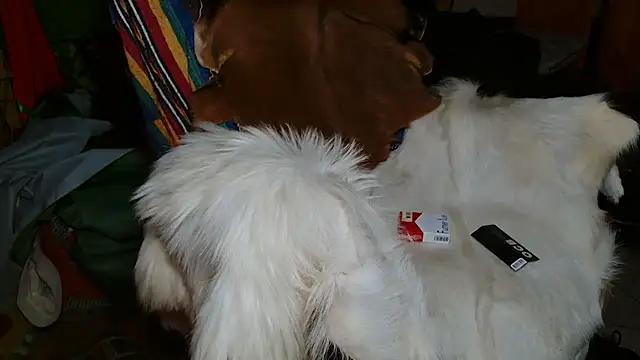 JUSTFORRICH online show from January 8, 10:12 pm