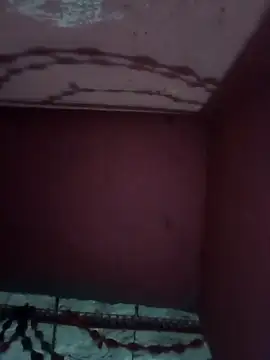 Cut rajbati online show from November 17, 2:12 pm