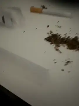 evawx9 online show from March 19, 6:12 pm