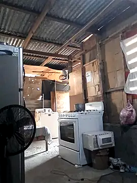 Snapshot of Steehood chatting on November 20, 2:50 pm Steehood online show from November 20, 2:50 pm