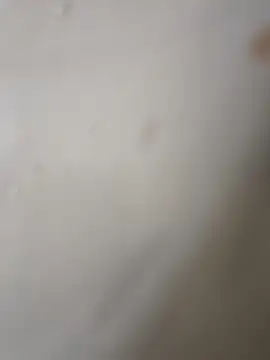 Gusttavotesudoxxvvc online show from October 22, 5:08 am