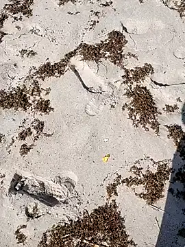 Snapshot of sarahkat86 chatting on October 4, 2:37 pm sarahkat86 online show from October 4, 2:37 pm