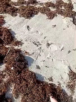 Snapshot of sarahkat86 chatting on October 9, 1:09 pm sarahkat86 online show from October 9, 1:09 pm