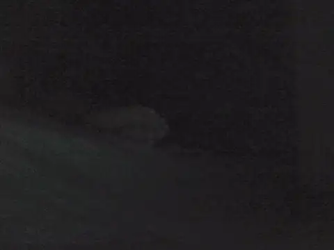 Snapshot of sarahkat86 chatting on October 30, 1:01 pm sarahkat86 online show from October 30, 1:01 pm