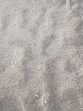 sarahkat86 online show from November 5, 12:16 pm