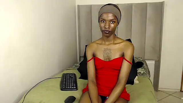 Trans fairy online show from November 27, 5:26 pm