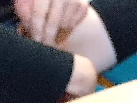 silagrasteif- online show from October 14, 2:29 pm