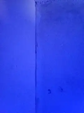 Snapshot of RandalHot chatting on November 23, 2:06 pm RandalHot online show from November 23, 2:06 pm