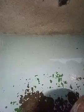 RandalHot online show from January 14, 4:18 am