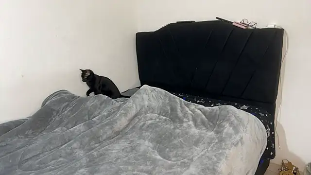 Conor Taylor online show from September 9, 3:22 pm