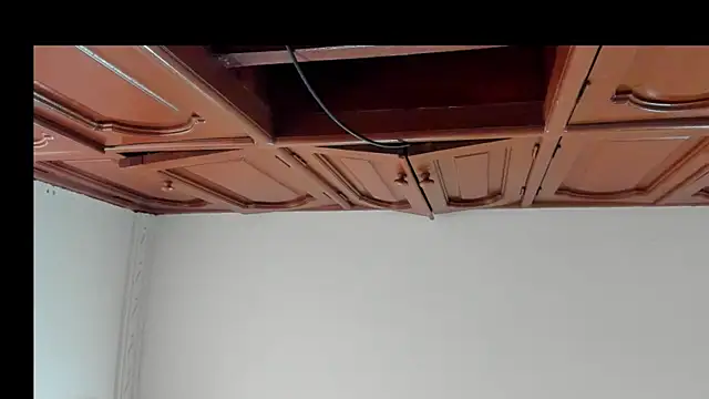 Snapshot of alice__brow chatting on October 8, 2:04 pm alice brow online show from October 8, 2:04 pm