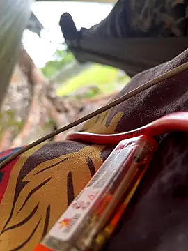 Alabestia12 online show from November 10, 4:39 pm