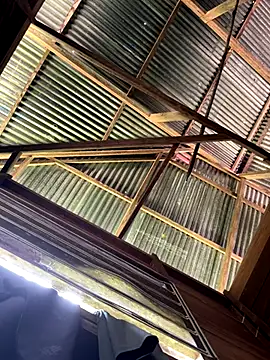 Alabestia12 online show from December 5, 3:09 pm