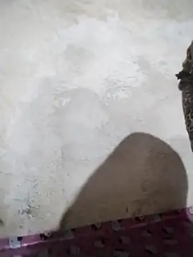 Snapshot of big_booty15 chatting on October 5, 2:32 am big booty15 online show from October 5, 2:32 am