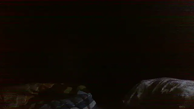 Snapshot of raredick chatting on April 13, 3:39 pm raredick online show from April 13, 3:39 pm