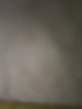 taraaek online show from March 7, 12:07 am