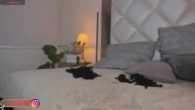 Megan DH online show from October 31, 12:28 pm