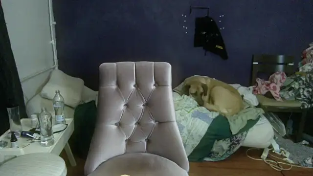 turkishTransEfsun online show from December 20, 1:40 pm