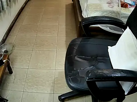 sissypamsissy online show from February 8, 12:19 pm