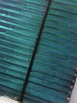 Snapshot of veronica_and_bryan chatting on September 14, 3:49 am veronica and bryan online show from September 14, 3:49 am