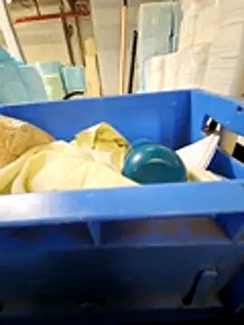 Stingles online show from March 17, 12:41 pm