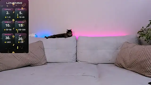 salmaesco online show from September 15, 2:00 am