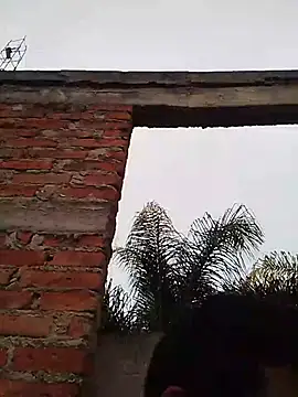 TragicAirplane168 online show from December 14, 11:31 pm