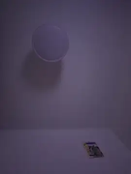 gigolobcn online show from February 22, 5:33 pm