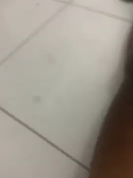 novin21rj online show from April 7, 12:55 am