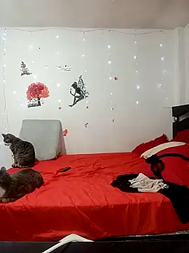 Lady 16 online show from February 17, 1:57 am