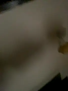 Snapshot of succy33 chatting on October 15, 7:41 am succy33 online show from October 15, 7:41 am