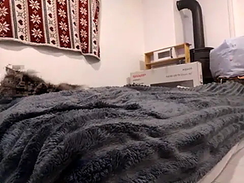 Snapshot of HoneySquirrel chatting on October 10, 5:23 pm HoneySquirrel online show from October 10, 5:23 pm