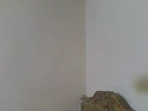elpoop7305 online show from July 19, 4:16 am