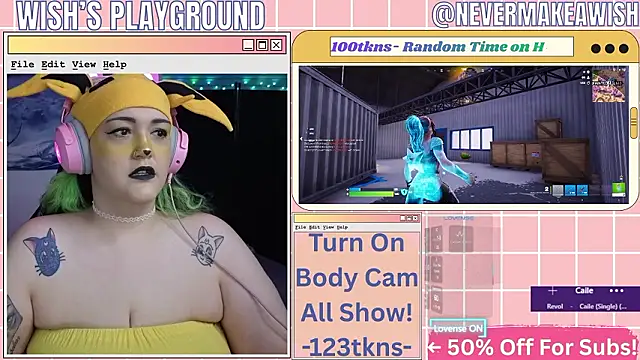 nevermakeawish online show from February 17, 3:40 pm